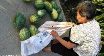 汾阳吃瓜最新事件爆料,揭秘背后惊人真相 第1张 汾阳吃瓜最新事件爆料,揭秘背后惊人真相 第1张